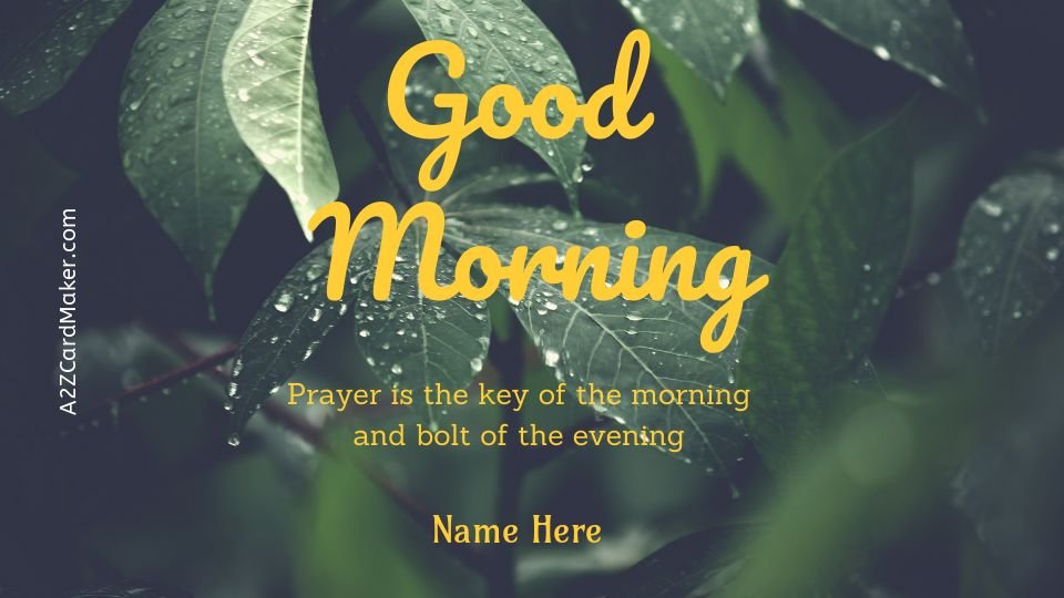 Beautiful & Motivational Good Morning Pictures for 2025