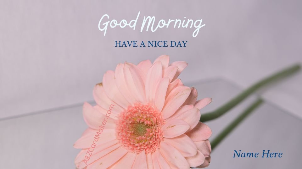 Beautiful Flower Good Morning Images ? Start Your Day with Blooming Positivity