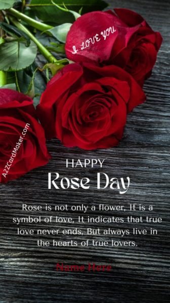 Happy Rose Day Love Wishes Greeting Instagram Story